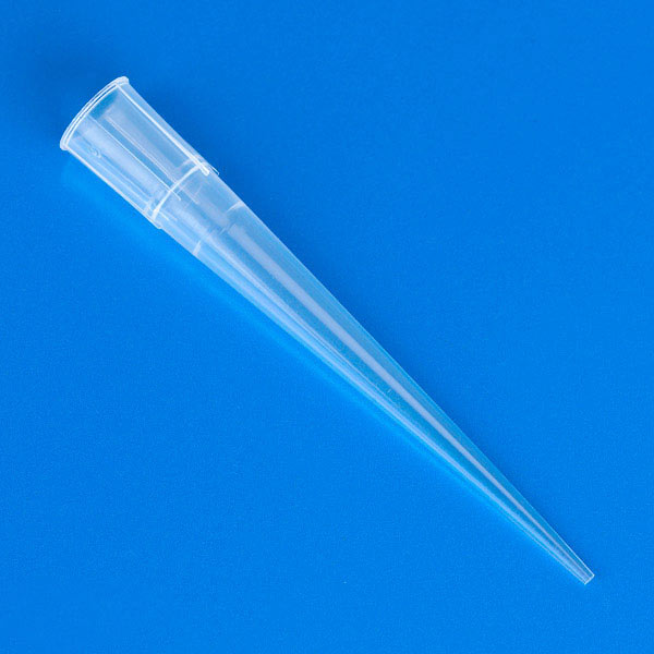 Globe Scientific Pipette Tip, 1 - 300uL, Natural, for use with Biohit, 1000/Bag Image