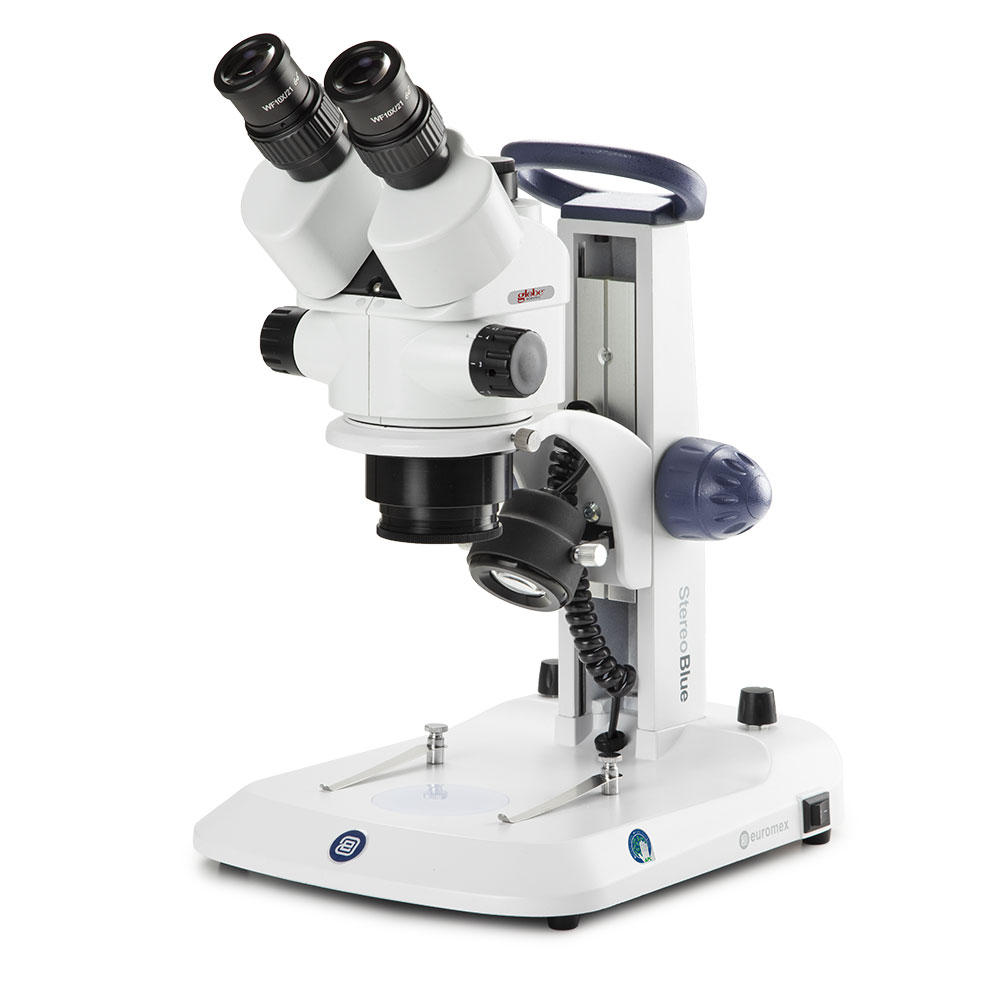 Globe Scientific Trinocular stereo zoom microscope StereoBlue, 0.7x to 4.5x zoom objective, magnification from 7x to 45x, ergonomically stand with incident and transmitted LED illumination Image