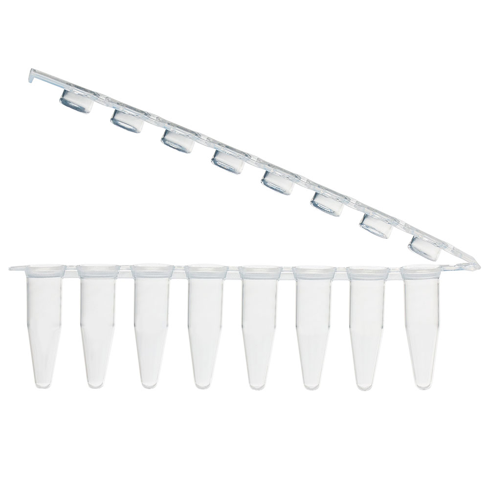 Globe Scientific 0.2mL 8-Strip Tubes, with Hinged Attached 8-Strip Clear Flat Caps, Natural Image